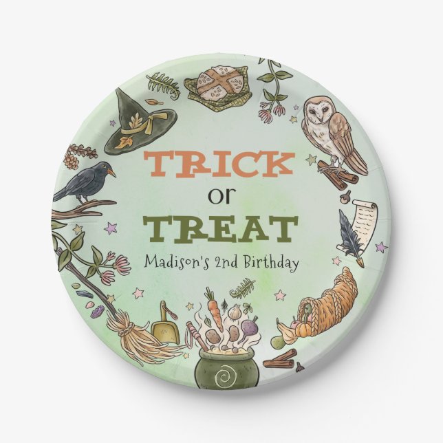 Trick or Treat Halloween Birthday Paper Plate (Front)