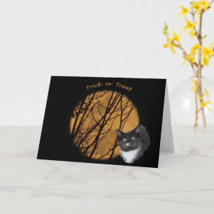 Trick or treat Halloween black cat & moon Card