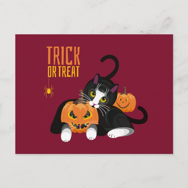Trick or Treat halloween Cat fun Postcard (Front)