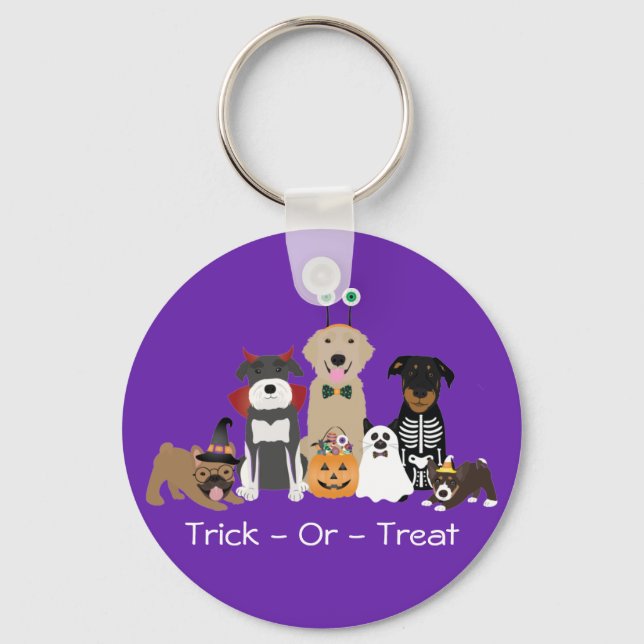 Trick Or Treat Pets Halloween Costumes Key Ring (Front)