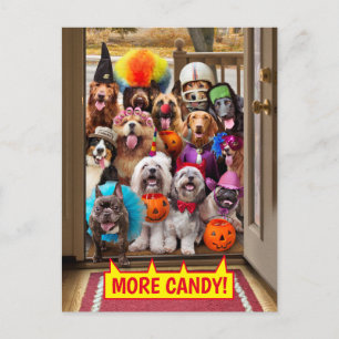 Trick-or-Treating Dogs Invitation Postcard