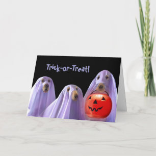 Trick-or-Treating Ghost Dogs Halloween Card