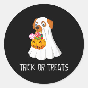 Trick Or Treats Funny Ghost Dog Cute Halloween Ns Classic Round Sticker