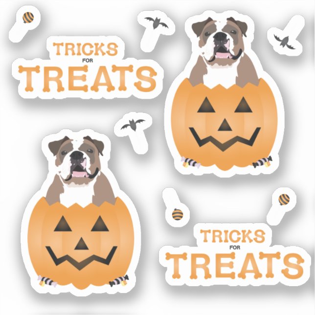 Tricks For Treats English Bulldog Orange (Front)