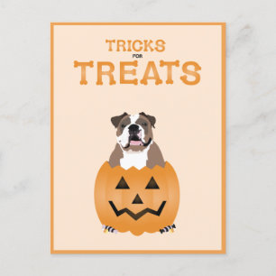 Tricks For Treats English Bulldog Orange Holiday Postcard