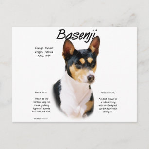 Tricolor Basenji History, All about Basenjis Postcard