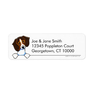 Tricolor Beagle Clean and Simple