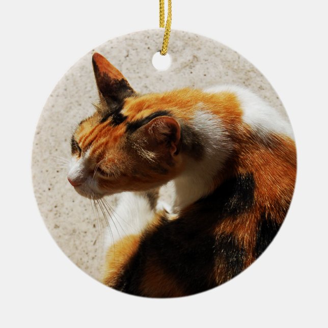 Tricolor Cat Ornament (Front)