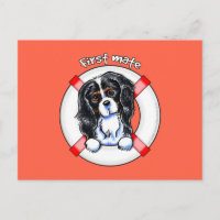 Tricolor Cavalier CKCS First Mate