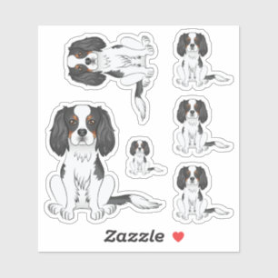 Tricolor Cavalier King Charles Spaniel Dog Sitting