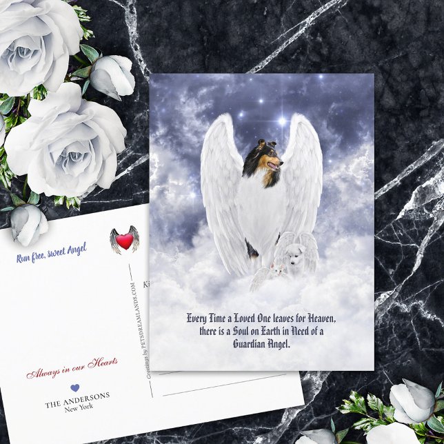 Tricolor Collie Angel & Cherub - Pet Loss Sympathy Postcard (Creator Uploaded)