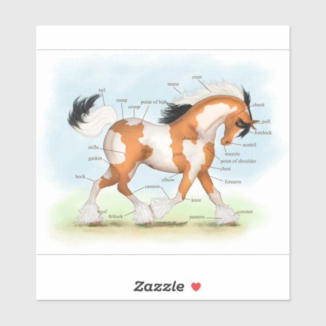 Tricolor Overo Pinto Gypsy Horse Anatomy Chart (Sheet)