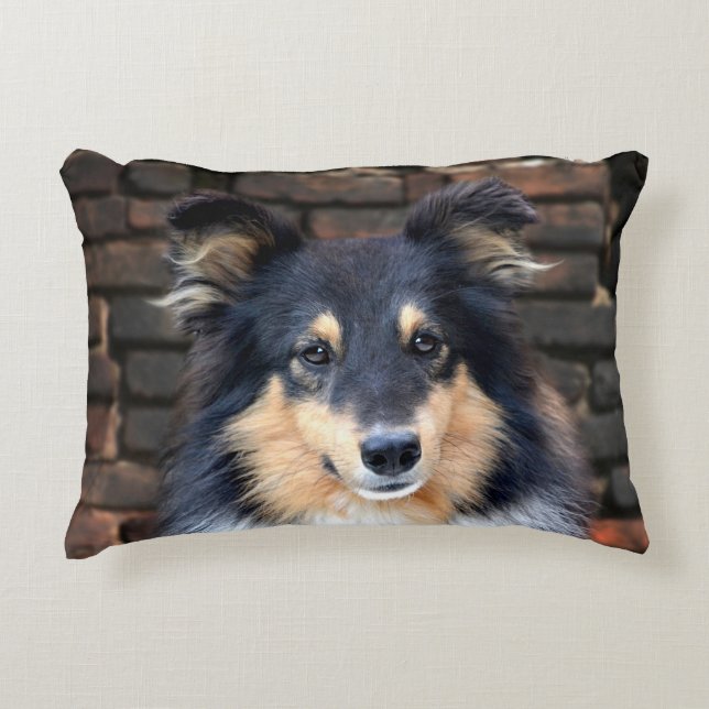 Tricolor Sheltie Decorative Cushion (Front)