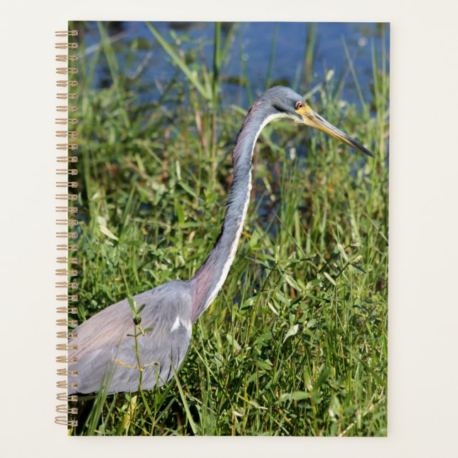 Tricolored Heron Planner (Front)