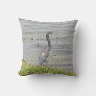 Tricolored Heron Wildlife Photography  Cushion