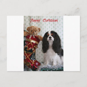 Tricolour Christmas Cavalier Holiday Postcard