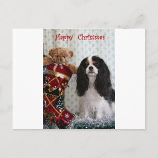 Tricolour Christmas Cavalier Holiday Postcard