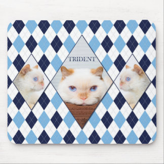 Trident the Cat Argyle Mouse Pad