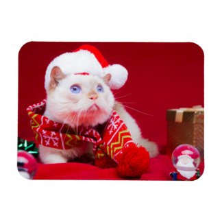 Trident the Cat Christmas Magnet