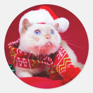 Trident the Cat Mini Round Sticker