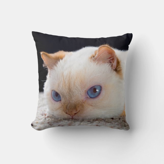 Trident the Cat Throw Pillow (Front)