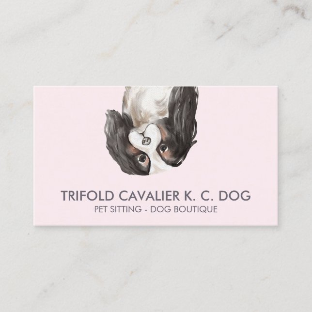 Trifold cavalier king charles dog business card (Front)