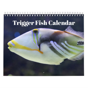 Trigger Fish 2025 Calendar