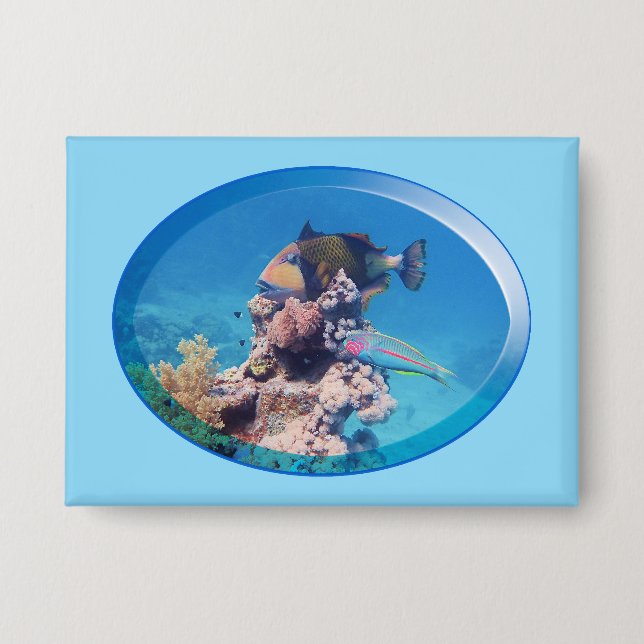 Triggerfish at coral reef - Photographic Design |  (Front)