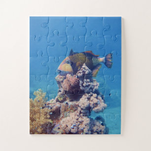 Triggerfish - Picturesque on Top of Coral Block    Jigsaw Puzzle