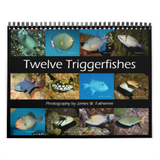 Triggerfishes Wall Calendar by J.W. Fatherree.