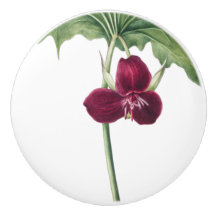 Trillium Botanical