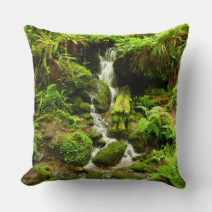 Trillium Falls at Redwood National Park Cushion