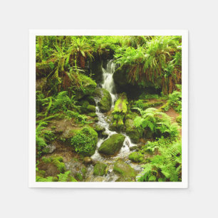 Trillium Falls at Redwood National Park Napkin