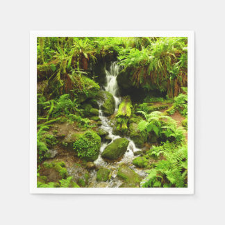 Trillium Falls at Redwood National Park Napkin
