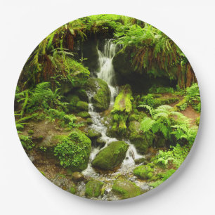 Trillium Falls at Redwood National Park Paper Plate