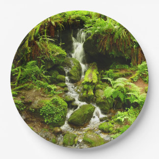 Trillium Falls at Redwood National Park Paper Plate