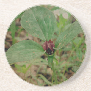 Trillium Flower Coaster
