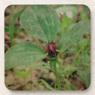 Trillium Flower Coaster