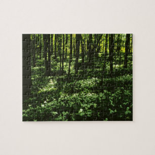 Trillium Forest Puzzle