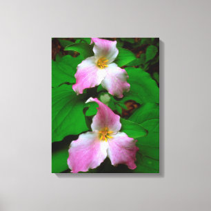 Trillium Wildflower Canvas Print