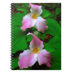 Trillium Wildflower Notebook