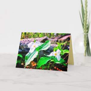 TRILLIUMS BRIGHT GREETING CARD