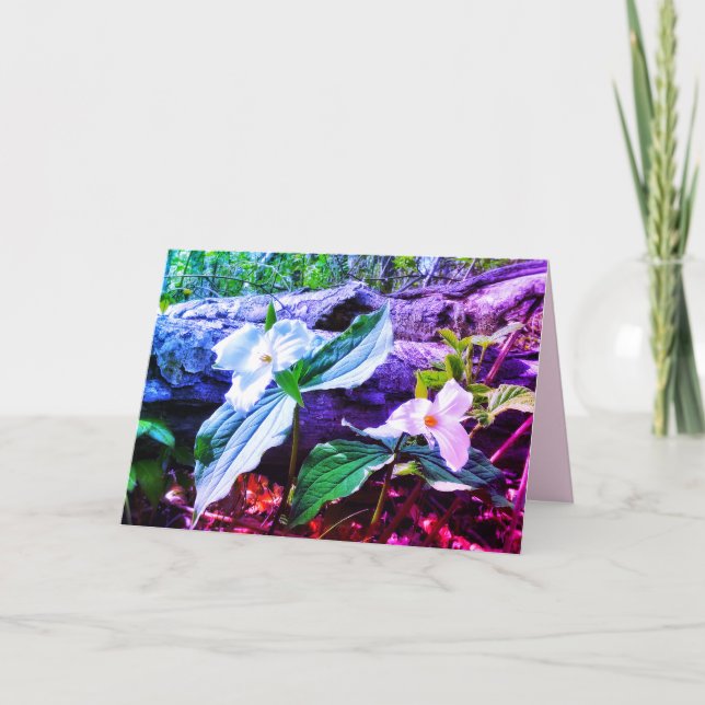 TRILLIUMS RAINBOW GREETING CARD (Front)