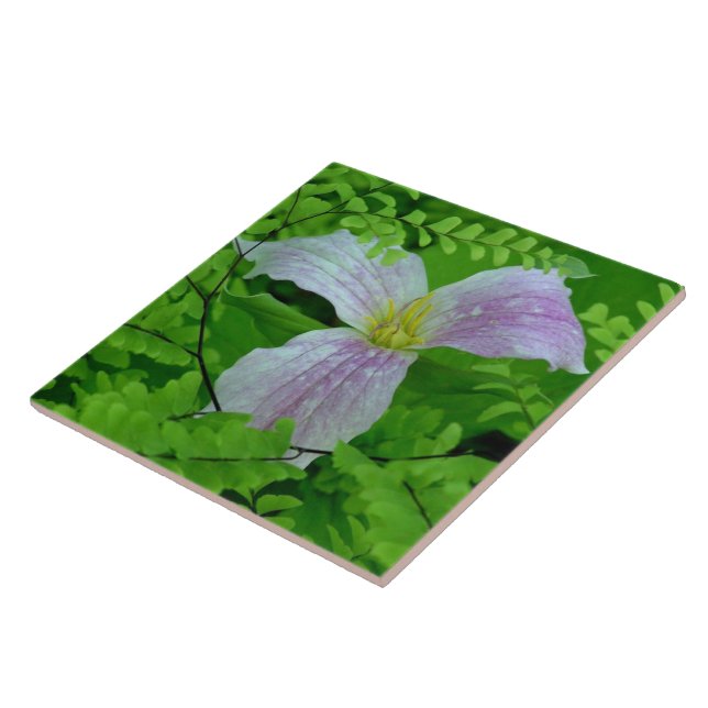 TRILLLIUM AND FERNS CERAMIC TILE/TRIVET TILE (Side)
