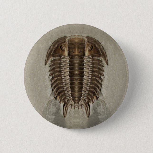 Trilobite Button (Front)