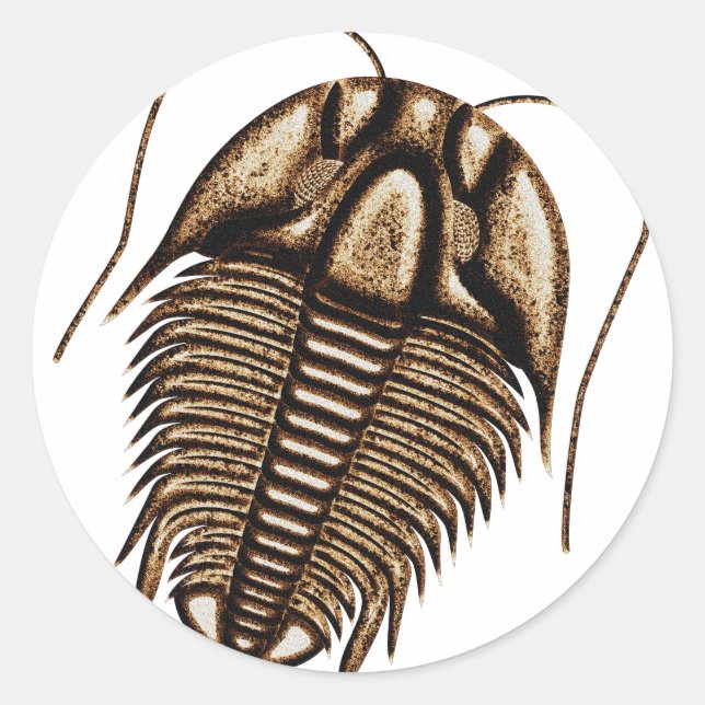 Trilobite Classic Round Sticker (Front)