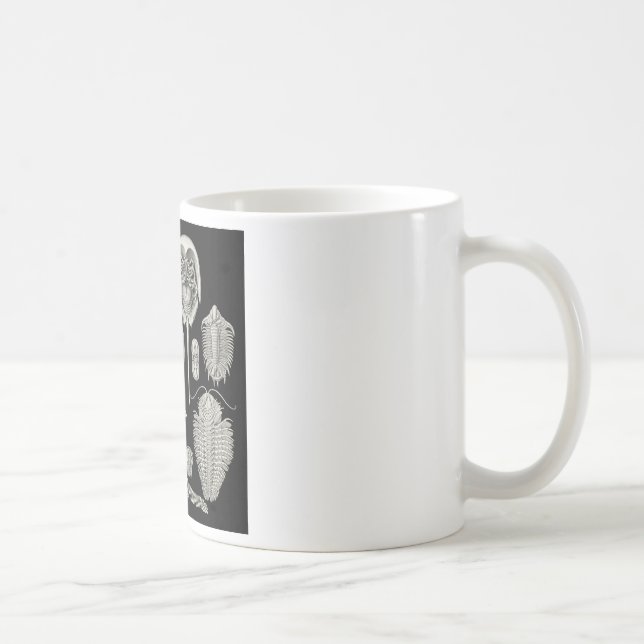 Trilobite! Coffee Mug (Right)