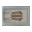 Trilobite Fossil Belt Buckle
