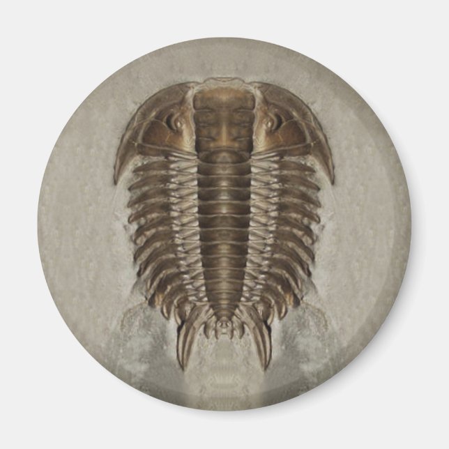 Trilobite Fossil Magnet (Front)