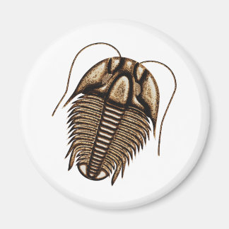 Trilobite Fridge Magnet